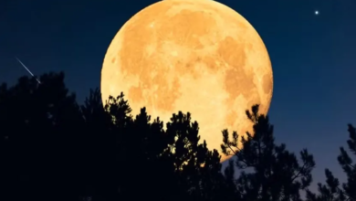 Photo of 2ª superlua do ano poderá ser vista nesta semana; saiba como observar
