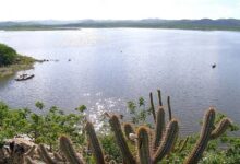 Photo of Paraíba tem 42 açudes em situação crítica; região do Cariri e Curimataú é a mais afetada