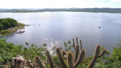 Photo of Paraíba tem 42 açudes em situação crítica; região do Cariri e Curimataú é a mais afetada