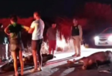 Photo of Casal morre após moto colidir com vaca solta na pista em Coremas