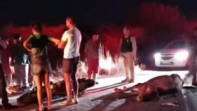 Photo of Casal morre após moto colidir com vaca solta na pista em Coremas