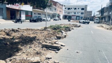 Photo of Prefeitura de Itaporanga realiza revitalização dos canteiros na avenida Dr. Manoel Medeiros Maia