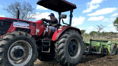 Photo of Prefeitura de Itaporanga amplia investimento para desenvolver agricultura local