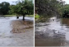 Photo of Chuva de quase 200 milímetros é registrada em zona rural de Piancó