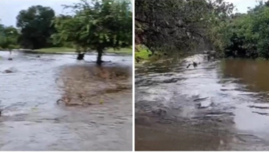 Photo of Chuva de quase 200 milímetros é registrada em zona rural de Piancó