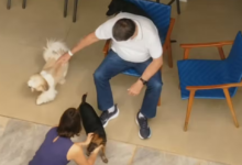 Photo of Defesa pede a Moraes ‘livre acesso’ de filhos à casa onde Bolsonaro cumpre prisão domiciliar