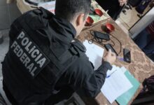 Photo of PF mira grupo que plantava e distribuía maconha no Sertão; alvos são de PE e SP