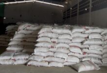 Photo of Governo federal reabre unidade da CONAB na cidade de Itaporanga e fortalece apoio ao homem do campo