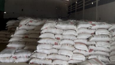 Photo of Governo federal reabre unidade da CONAB na cidade de Itaporanga e fortalece apoio ao homem do campo