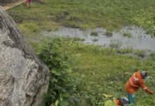 Photo of Prefeitura realiza limpeza na sangria do açude que abastece a cidade de Itaporanga