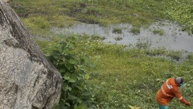 Photo of Prefeitura realiza limpeza na sangria do açude que abastece a cidade de Itaporanga