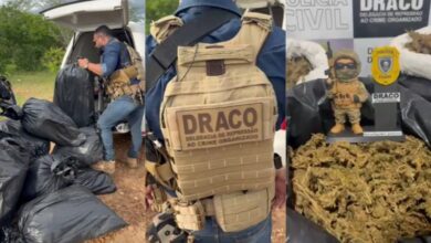 Photo of Polícia prende líder de grupo que cultivava maconha no Sertão da Paraíba