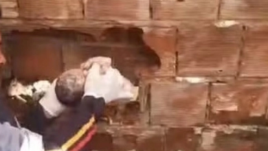 Photo of Recém-nascido resgatado entre muros em Caaporã morre em João Pessoa