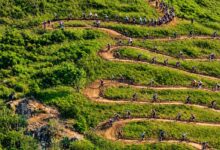 Photo of Ride Brasil coloca Serra da Raiz no mapa internacional do mountain bike